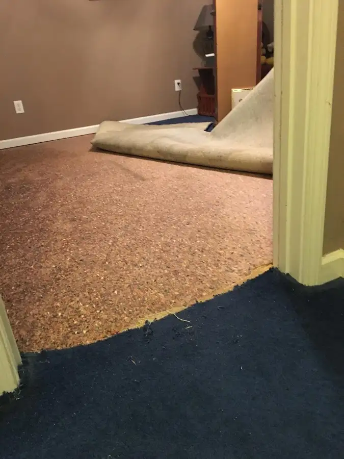 Carpet pad removal revealing water damage during Water Mitigation Services in Oak Park