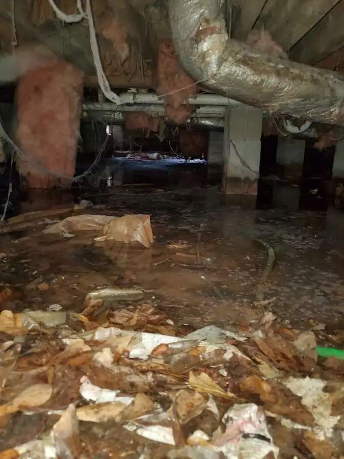 Crawl space flood assessment for Leak Detection & Repair in Oak Park